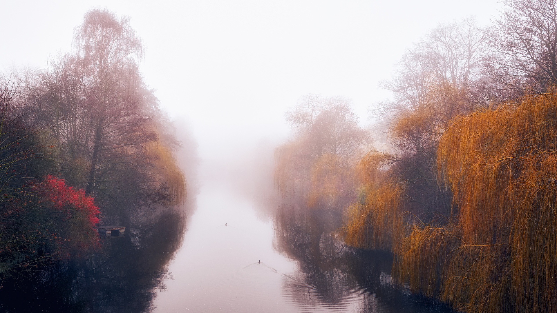 Nebel über dem Kanal