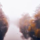 Nebel über dem Kanal