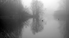 Nebel über dem kleinen Teich