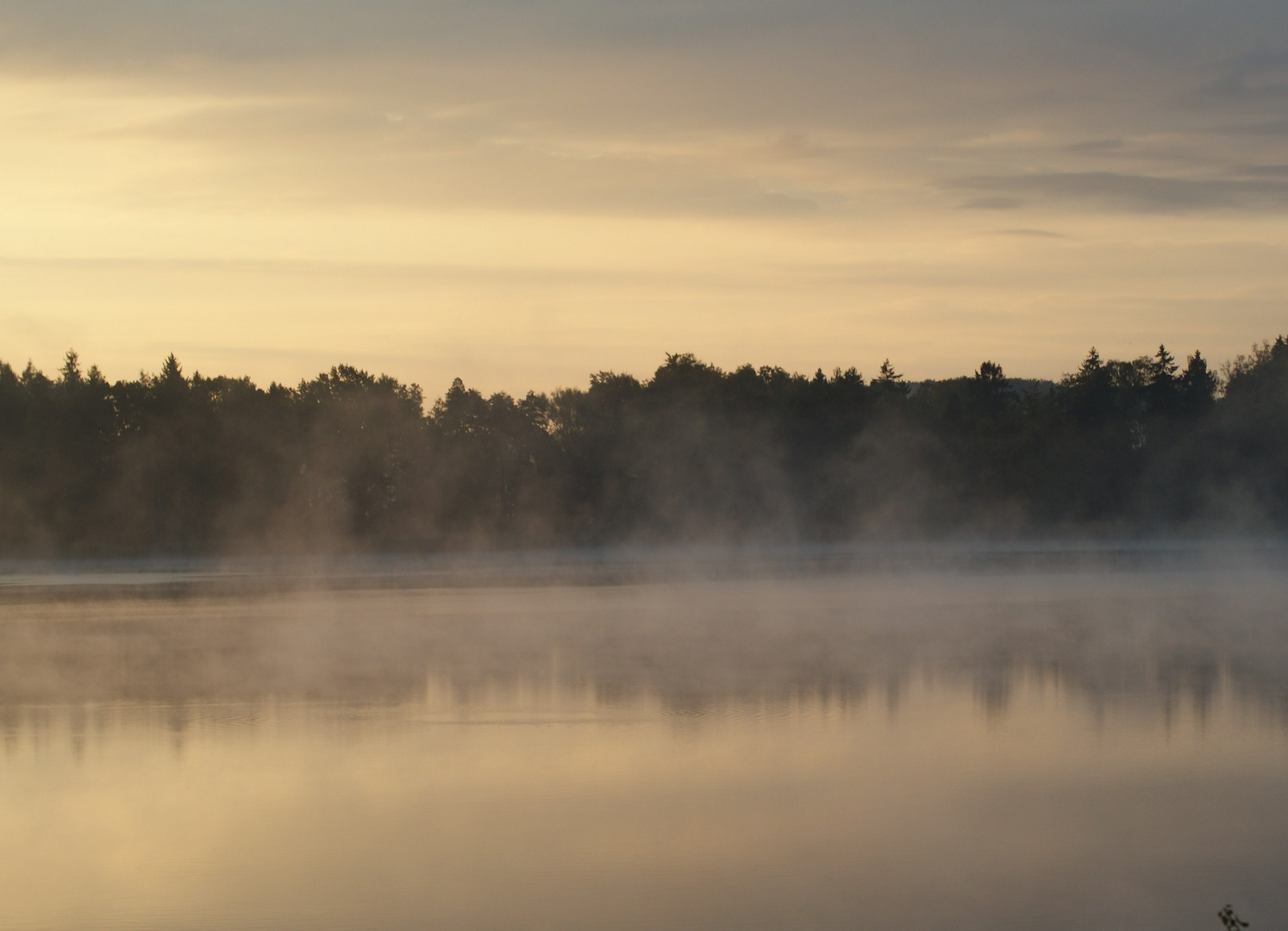 Nebel über dem Krakower See