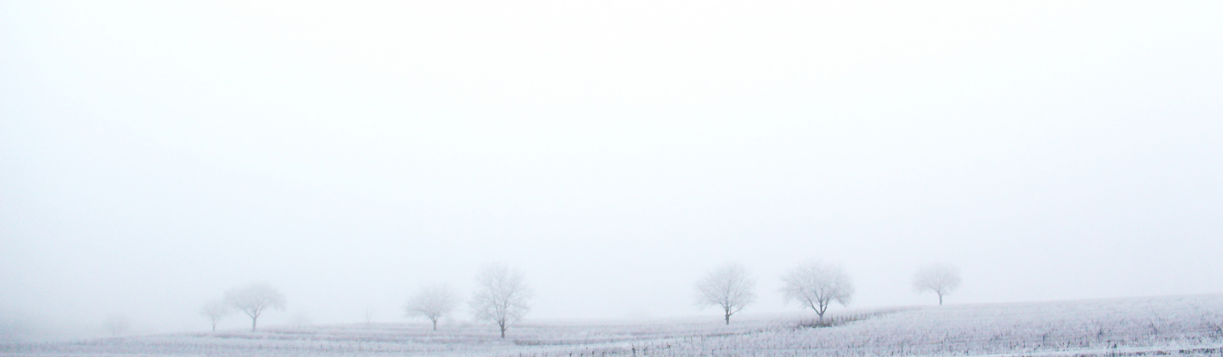 Nebel über dem Land