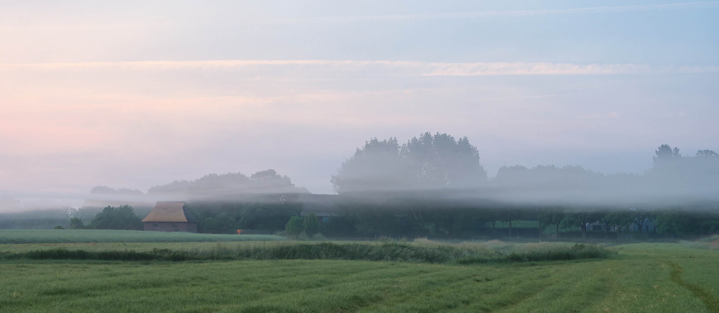 Nebel über dem Land