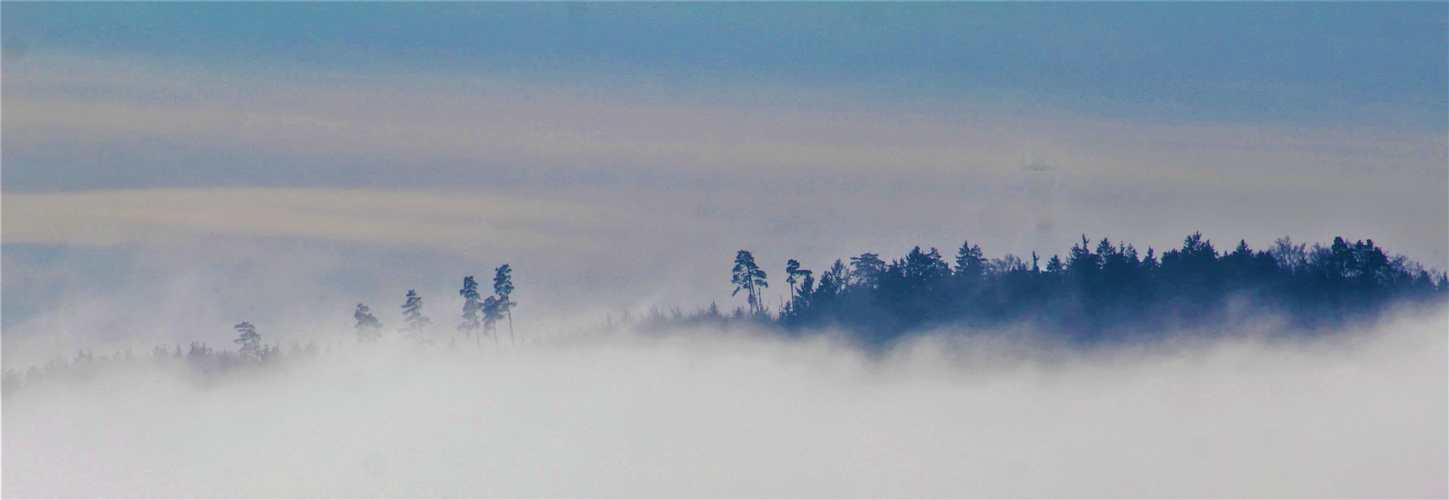 Nebel über dem Land