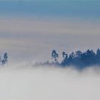 Nebel über dem Land