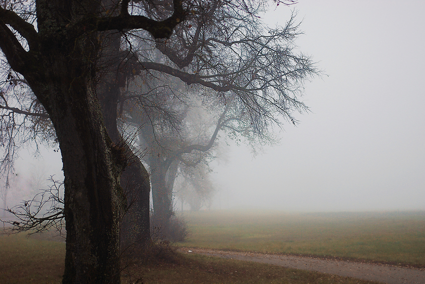 Nebel über dem Land