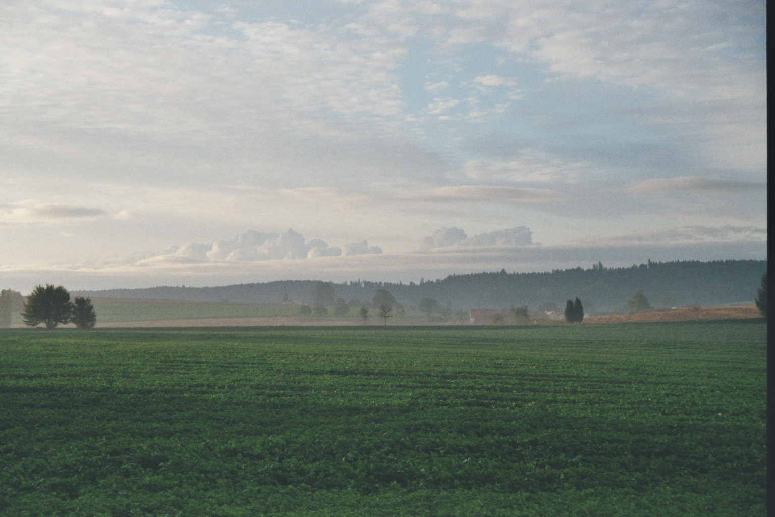 Nebel über dem Land