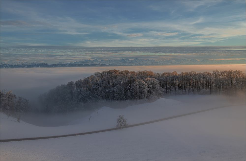 NEBEL ÜBER DEM LAND