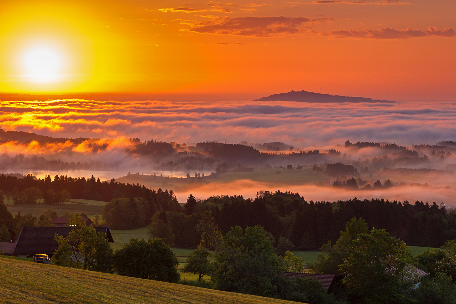 Nebel über dem Lechtal