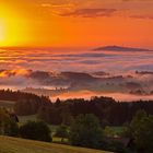 Nebel über dem Lechtal