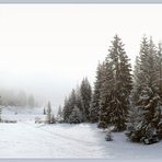 Nebel über dem Leutaschtal