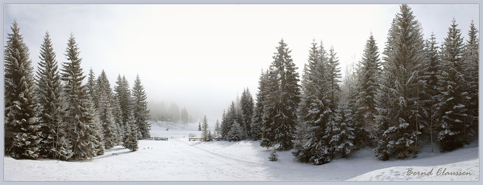 Nebel über dem Leutaschtal