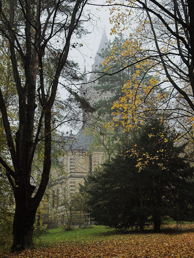 Nebel über dem Märchenschloß