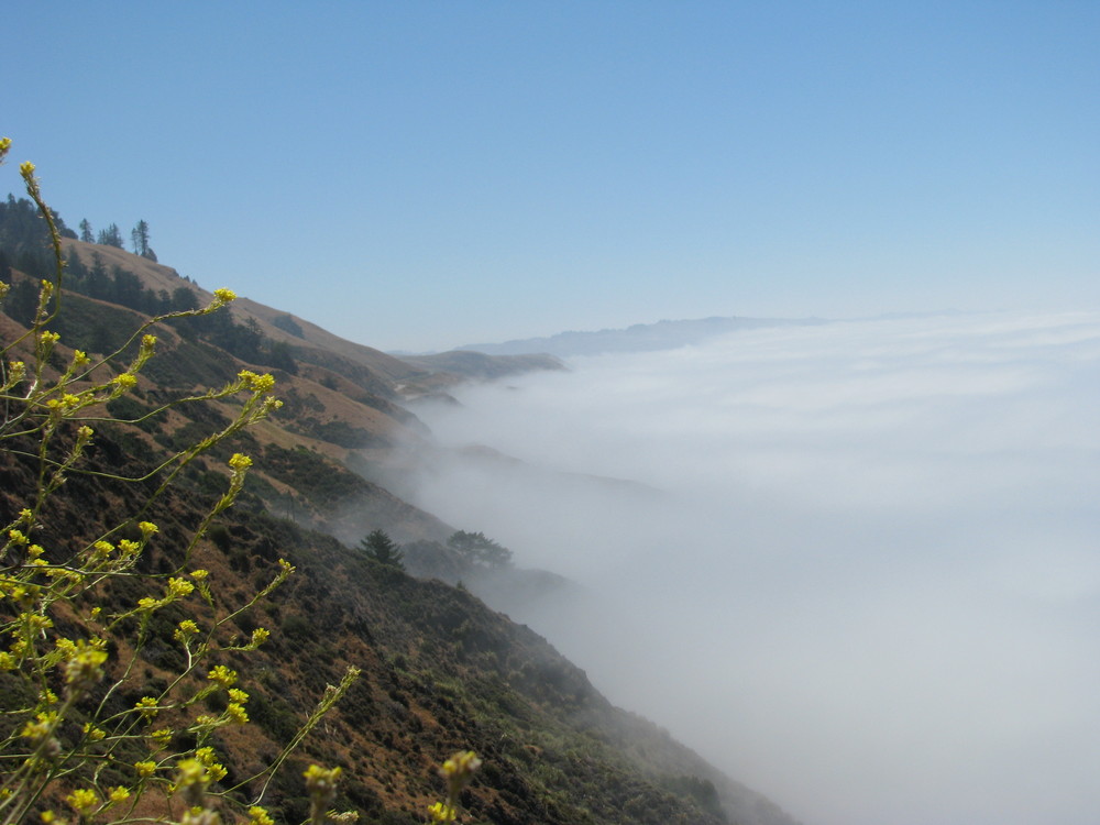 Nebel über dem Meer