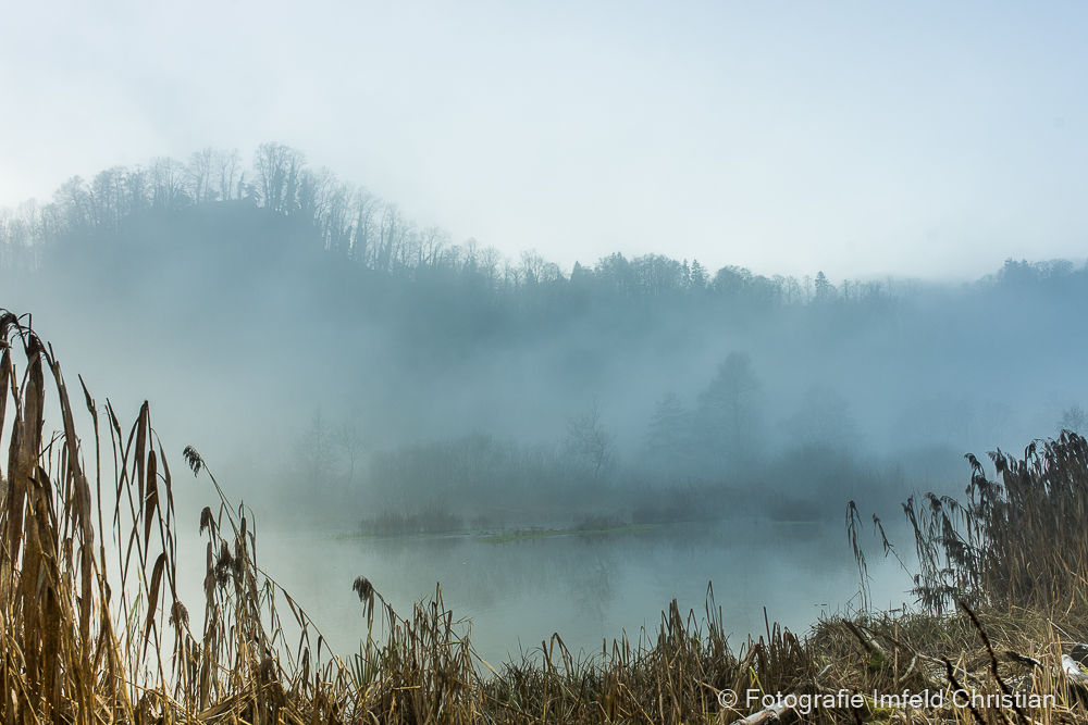 Nebel über dem Moor