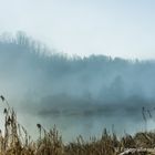 Nebel über dem Moor