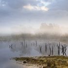 Nebel über dem Moor