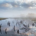 Nebel über dem Moor