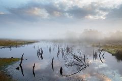 Nebel über dem Moor