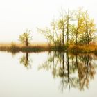 Nebel über dem Moor