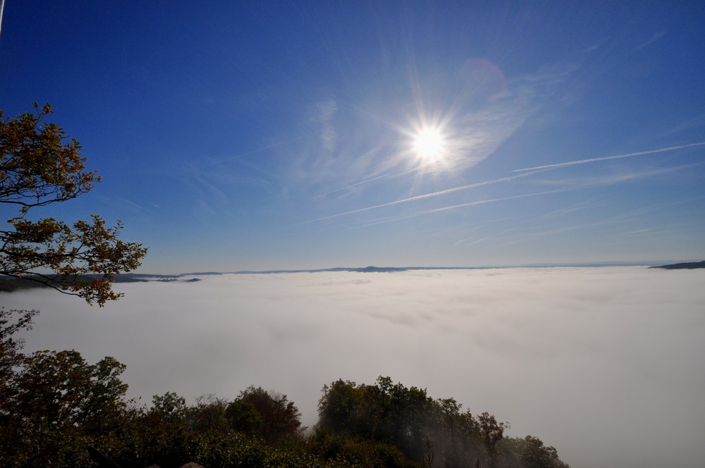 Nebel über dem Moseltal