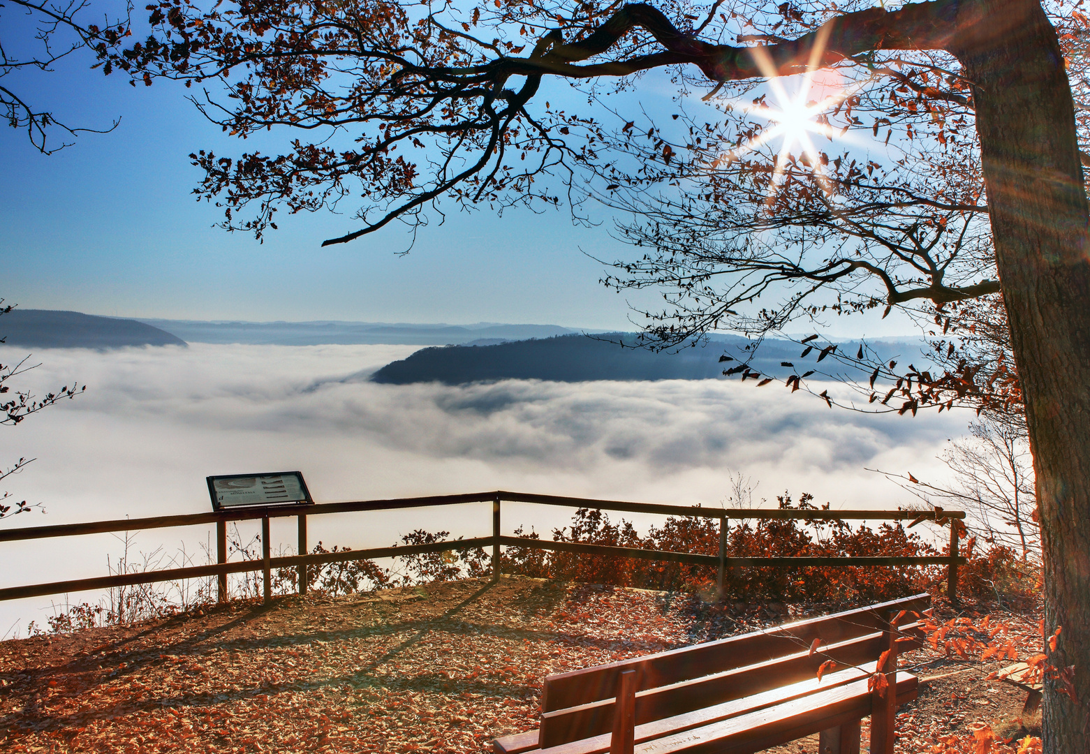 Nebel über dem Moseltal bei Ernst