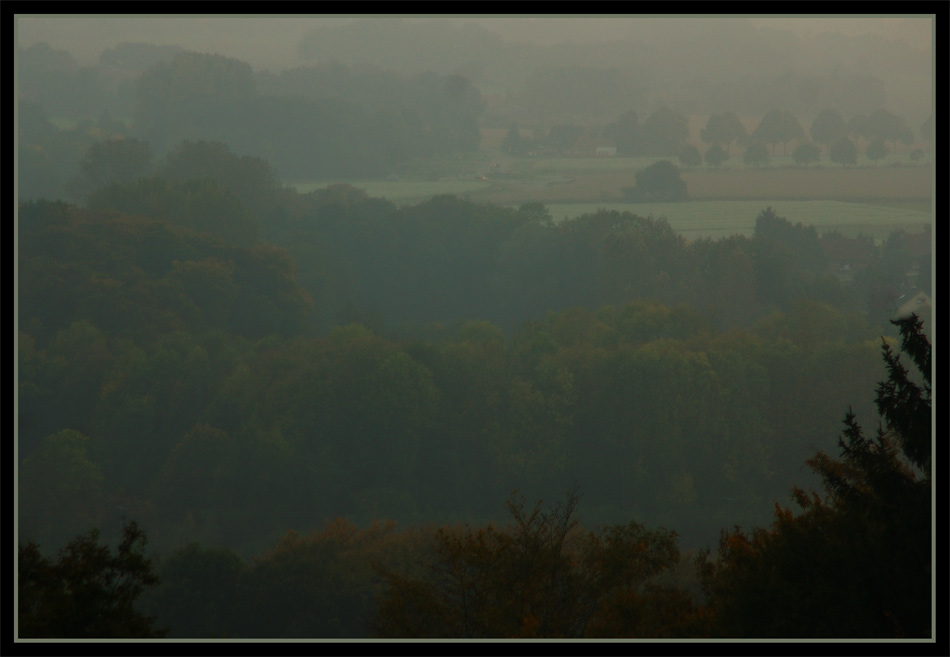 Nebel über dem Münsterland