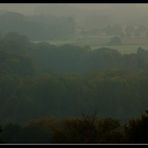 Nebel über dem Münsterland