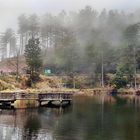 Nebel über dem Mummelsee 