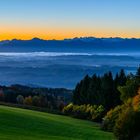 Nebel über dem Murnauer Moos