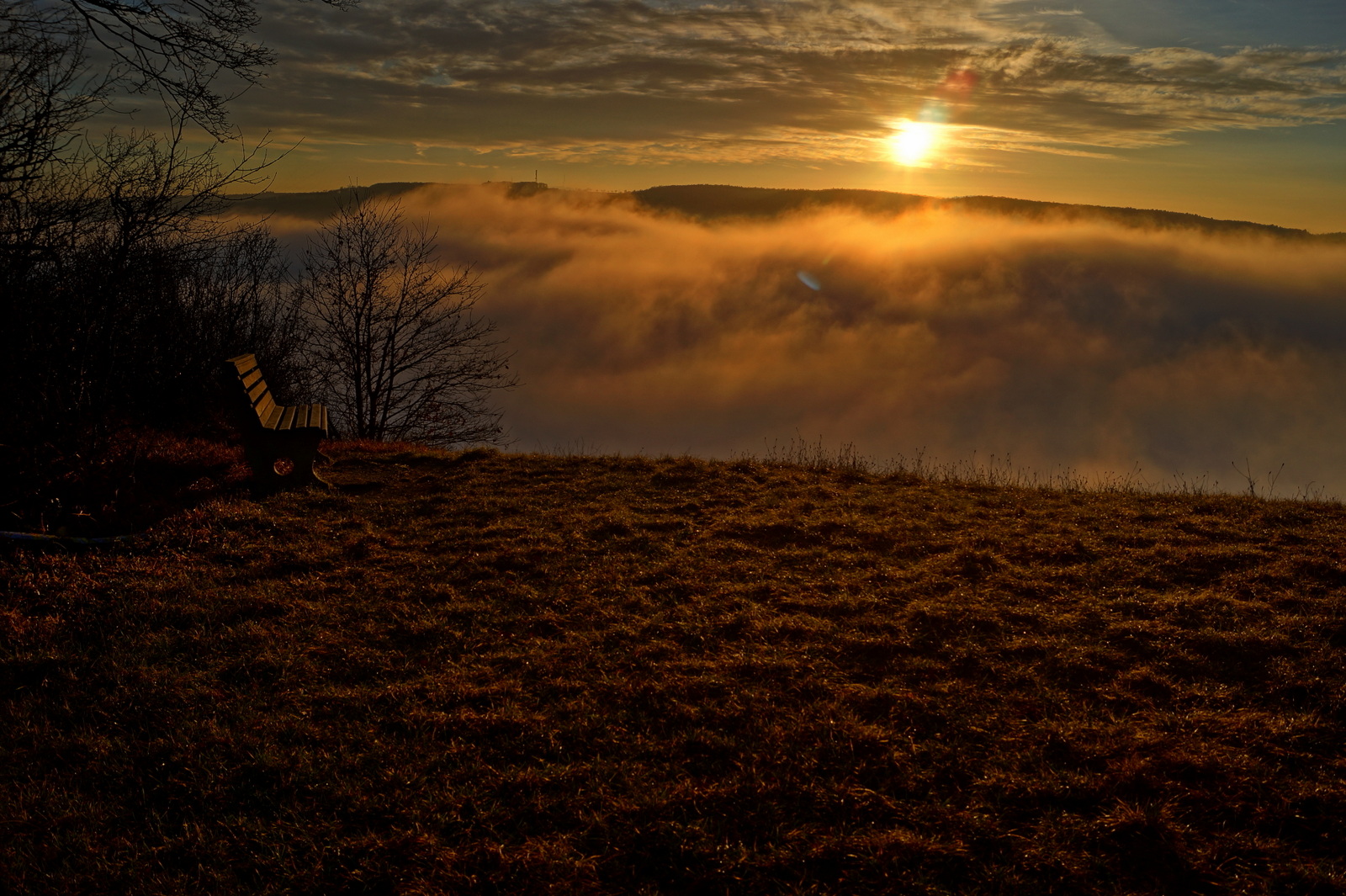 Nebel über dem Neckartal