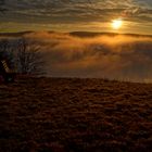 Nebel über dem Neckartal