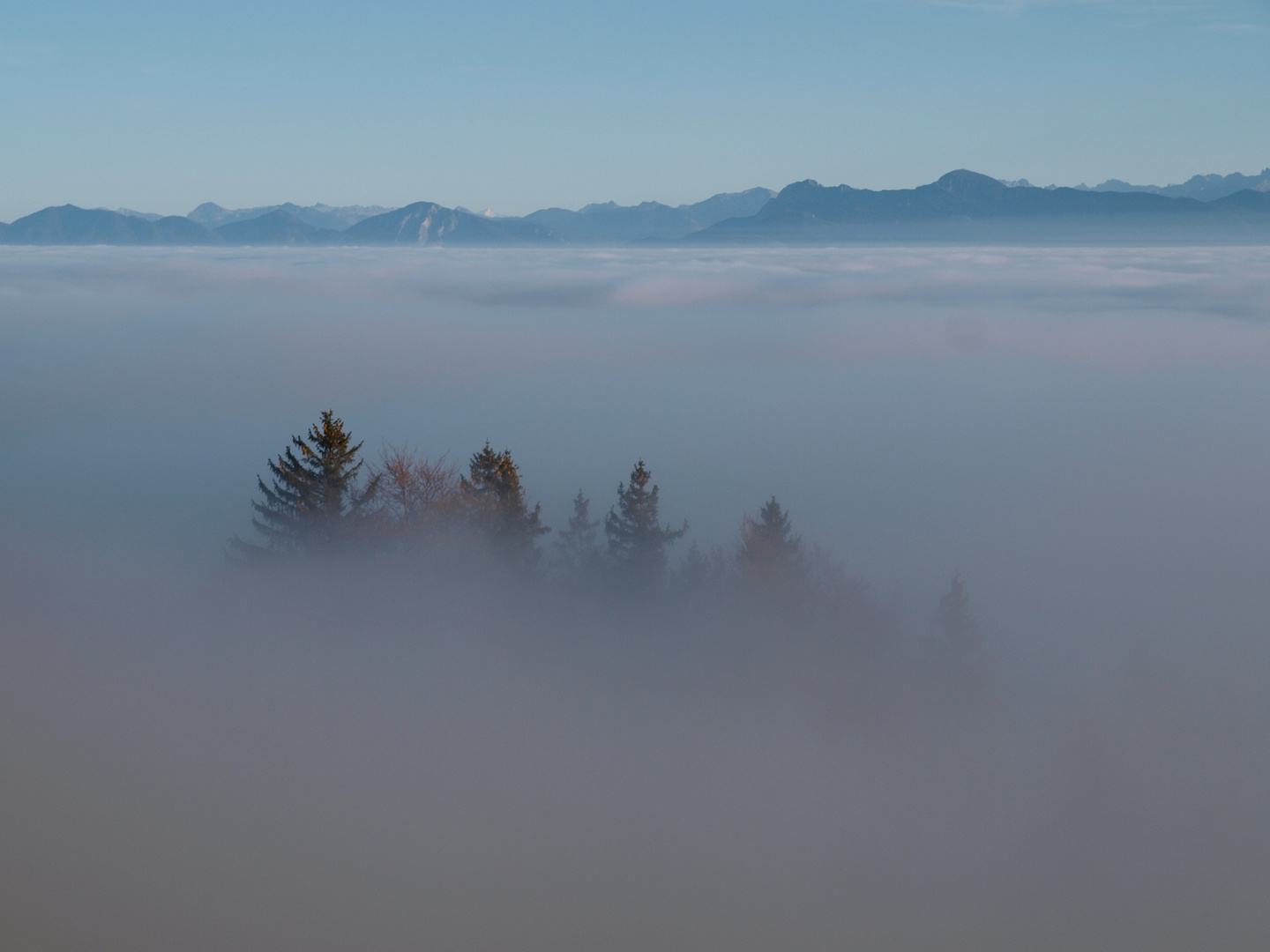 Nebel über dem Oberland