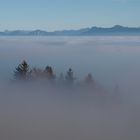 Nebel über dem Oberland