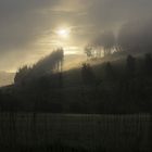 Nebel über dem Odeborntal