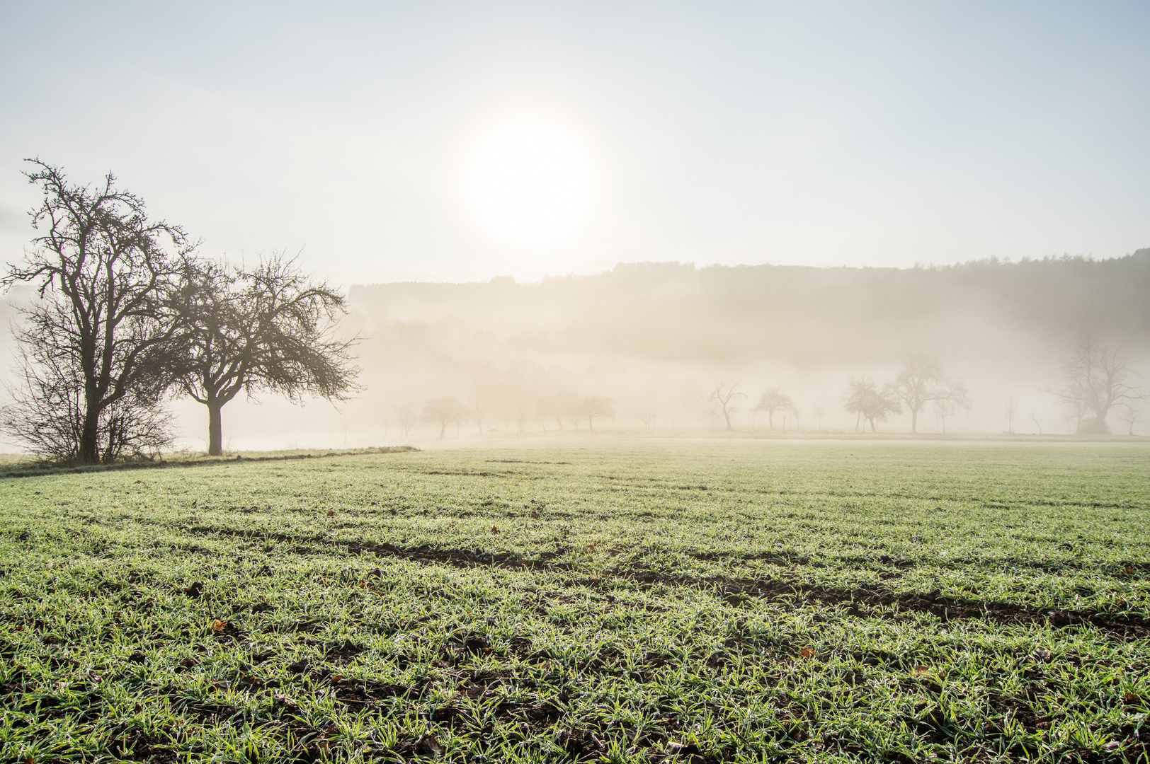 Nebel über dem Ottweiler Flur