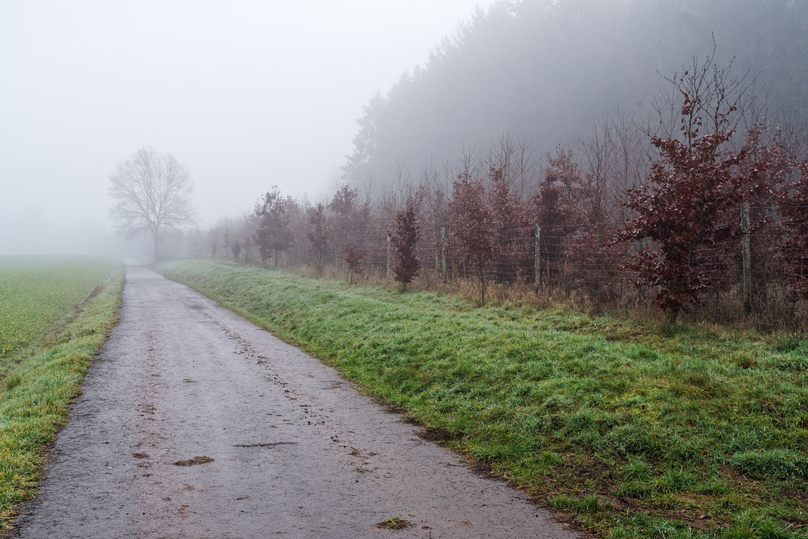 Nebel über dem Ottweiler Flur