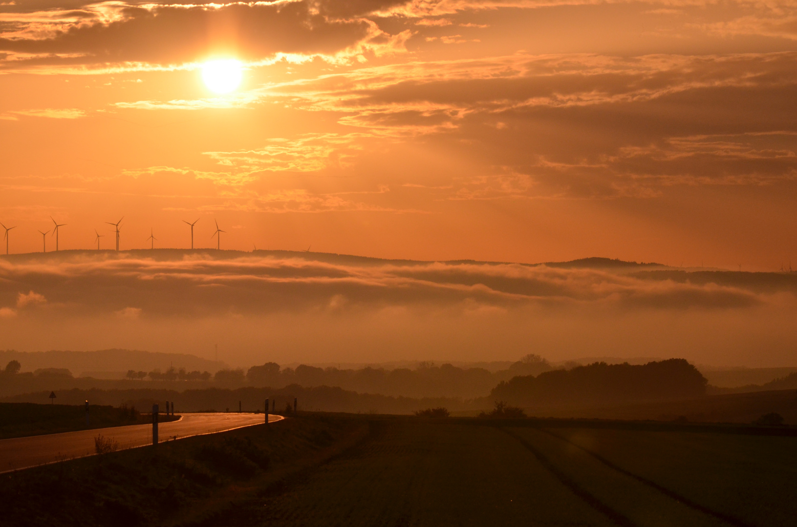 Nebel über dem Rhein