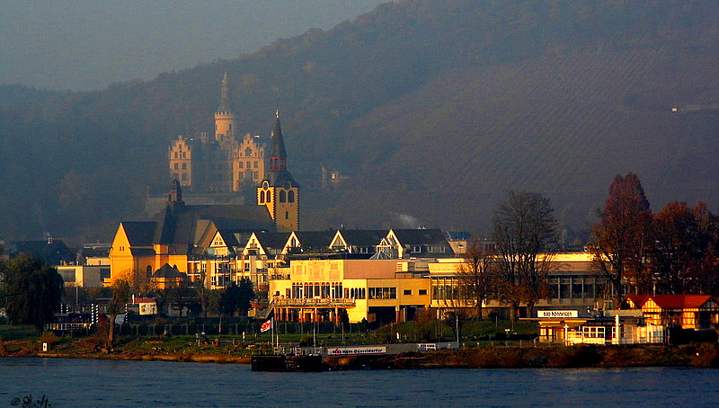 Nebel über dem Rhein II