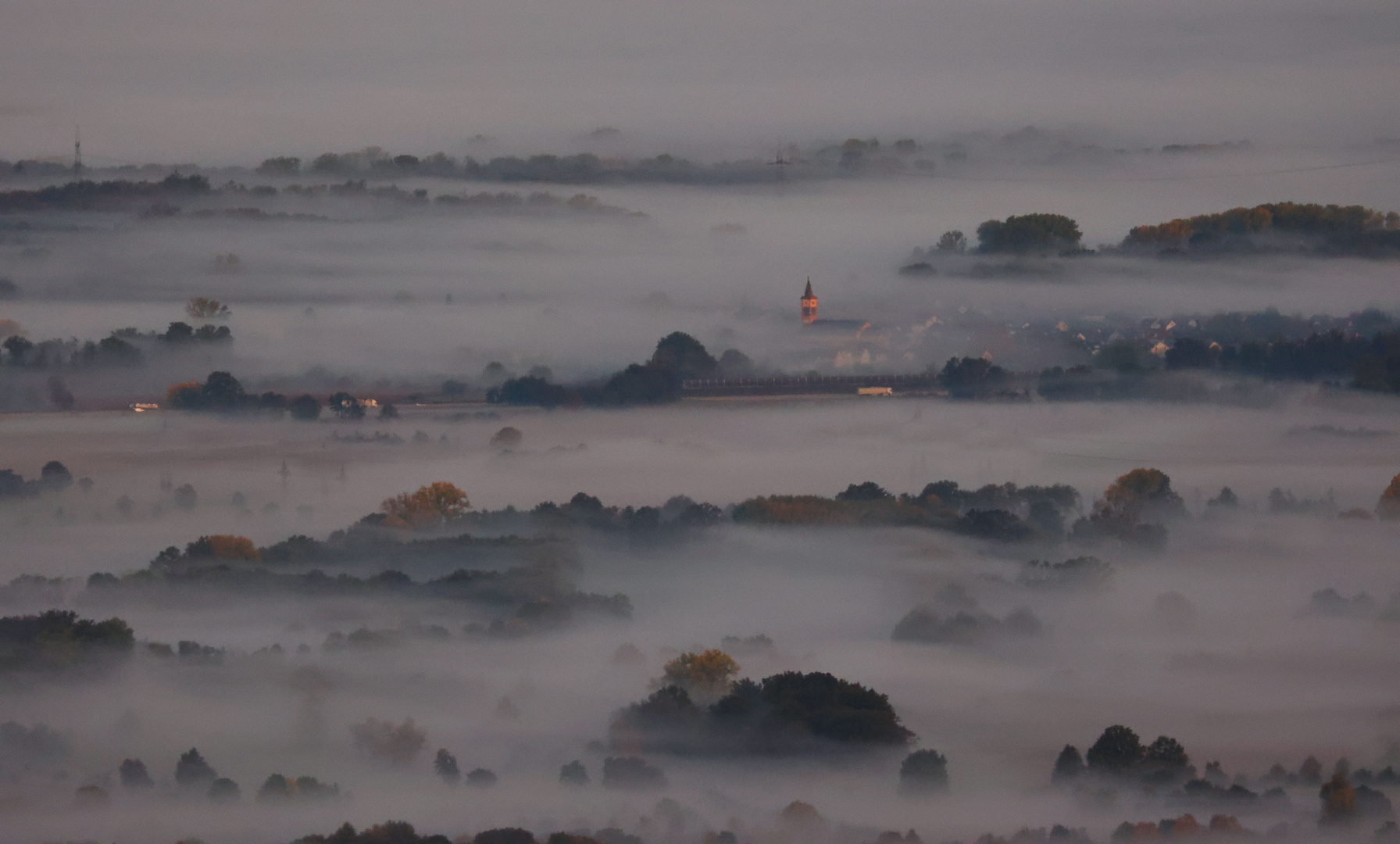 Nebel über dem Rheintal