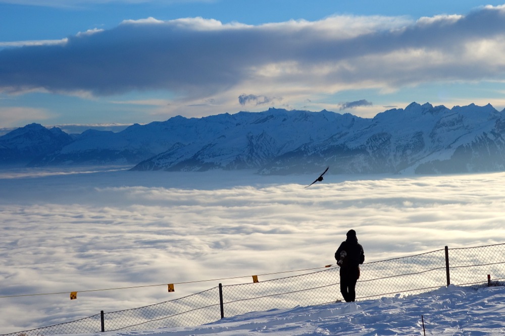 Nebel über dem Rheintal