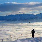 Nebel über dem Rheintal