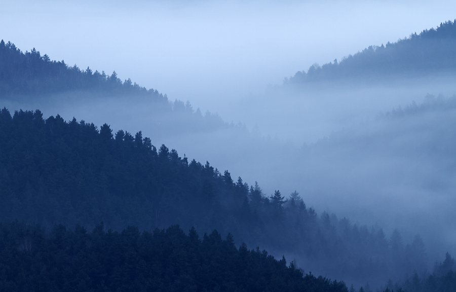 Nebel über dem Ritschgrund