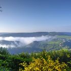 Nebel über dem Rursee