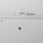 Nebel über dem Salzhaff