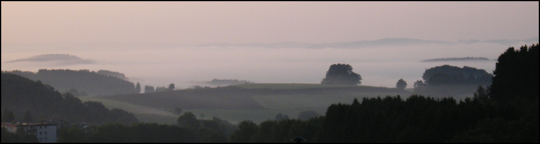 NEBEL ÜBER DEM SAUERLAND