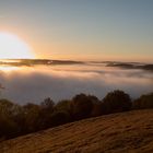 Nebel über dem Schalkenmehrener Maar