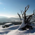 Nebel über dem Schluchsee