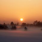 Nebel über dem Schnee