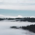 Nebel über dem Schwarzwald 