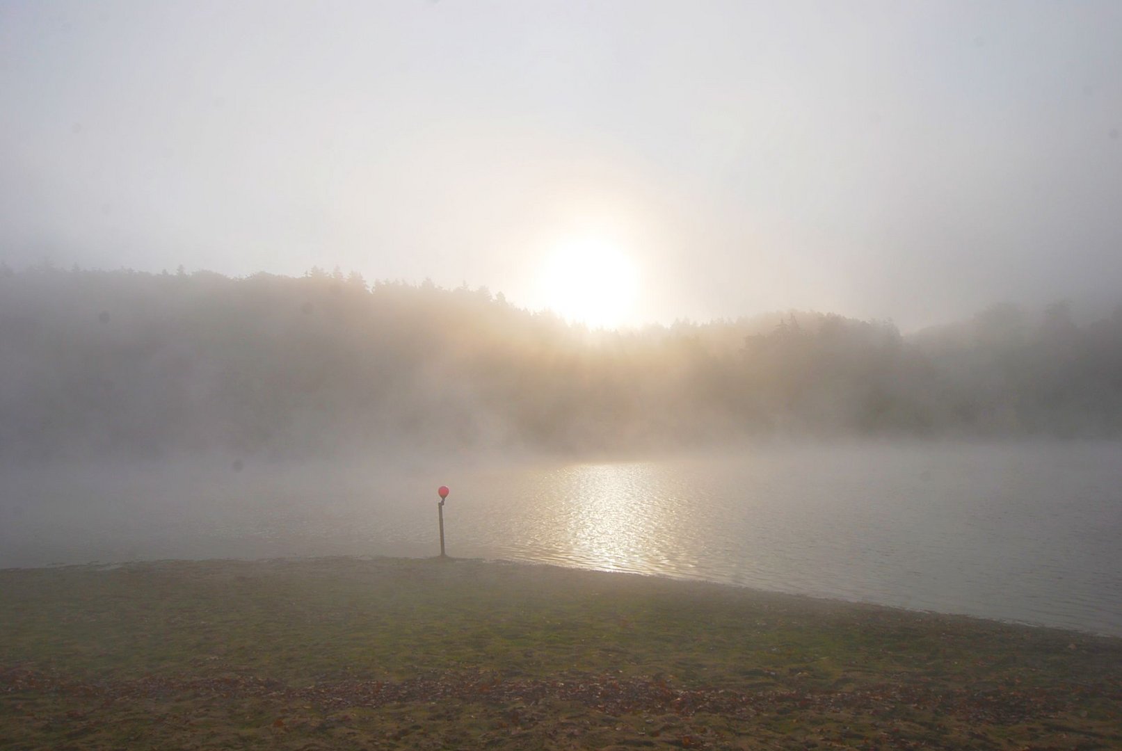 Nebel über dem See